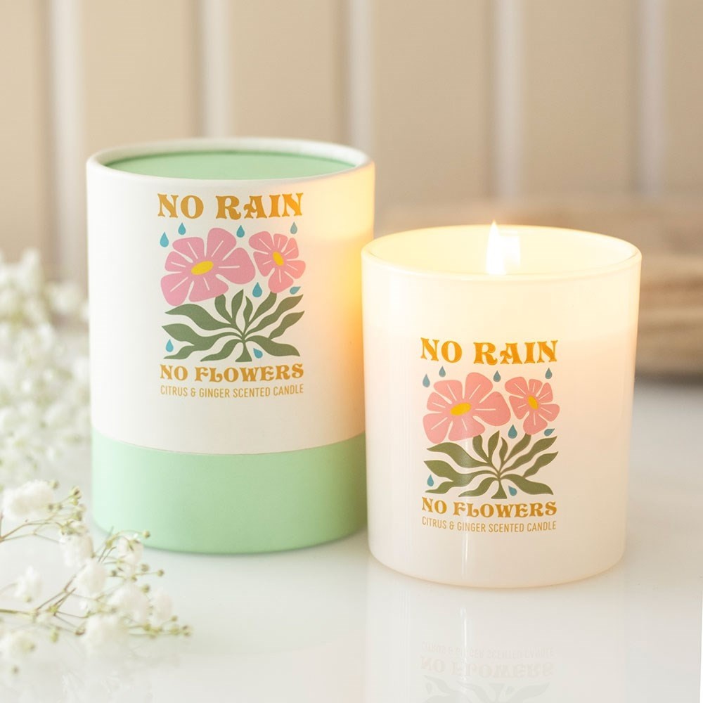 Something Different - No Rain, No Flowers Citrus & Ginger Geurkaars - Multicolours